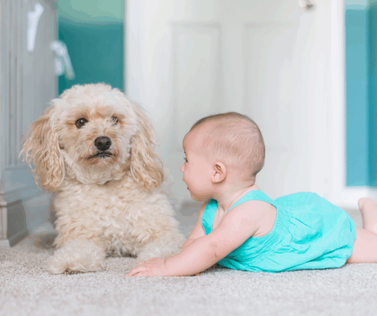 chien et bébé