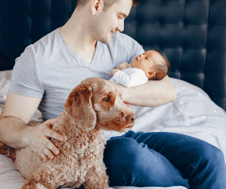 préparer son chien à l’arrivée de bébé